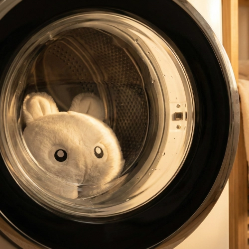 un crodoux seul dans une machine a laver